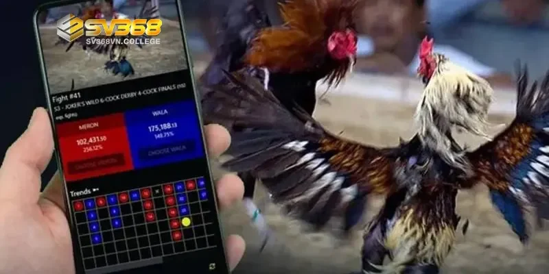 Tâm lý và chiến thuật khi cá cược